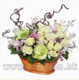 brighten pot plant centre鲜花 植物 园艺器材 花艺用品等产品