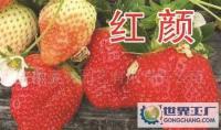 安徽奥林园艺有限责任公司_世界工厂网全球企业库