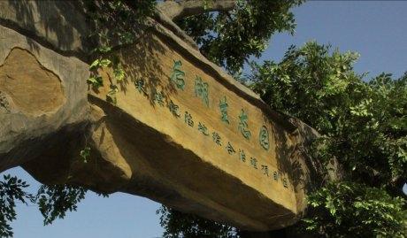 快看,安徽中北部的一个地级市,正在向世界冲劲