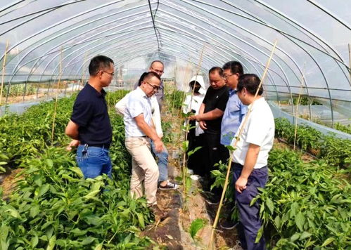 广西农科院 生物技术研究所