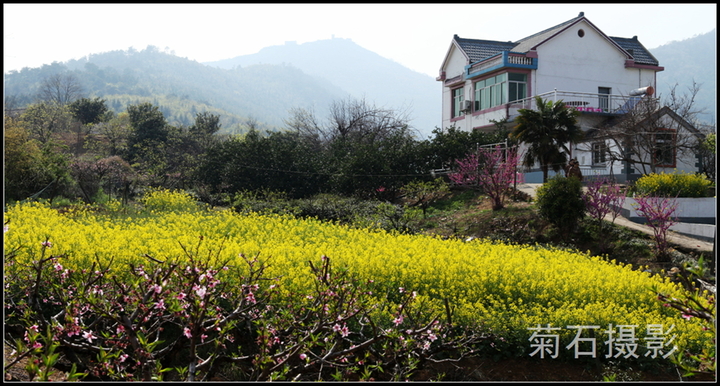 【桃花盛开的地方摄影图片】安徽当涂园艺村生态
