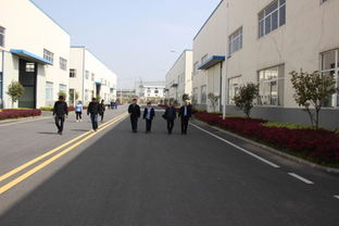 合派叉车安徽工厂今日揭牌投产