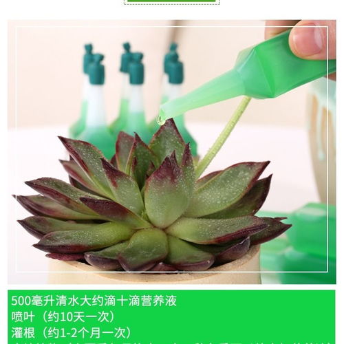 有机营养液营养土水培植物肥料绿萝营养液水养植物营养液花肥