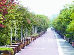 园林景观资讯_园林设计,景观设计,园林施工,园林植物,景观图纸,效果图,景观图片_定鼎园林